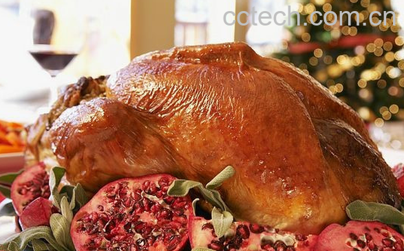 果蔬百科火鸡肉的功效与作用-0