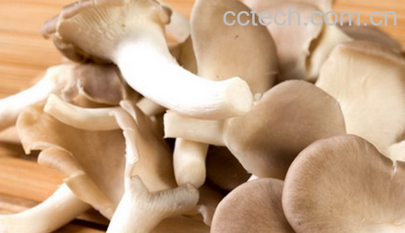 果蔬百科秀珍菇的营养价值-0