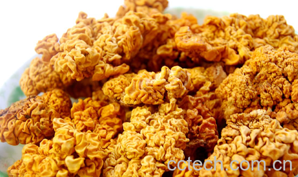 果蔬百科金耳的功效与作用-0