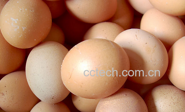 果蔬百科鸡蛋的功效与作用-0
