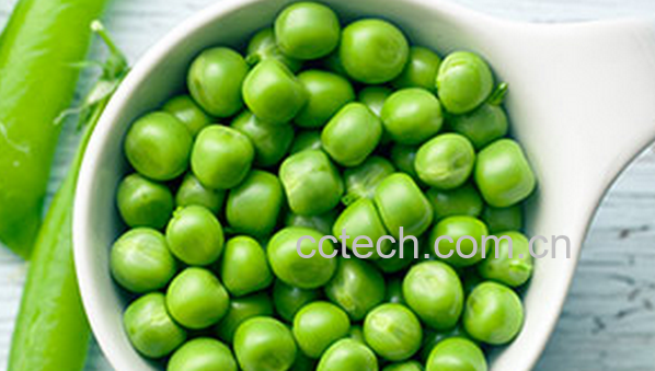 果蔬百科青豆的营养价值与功效-0