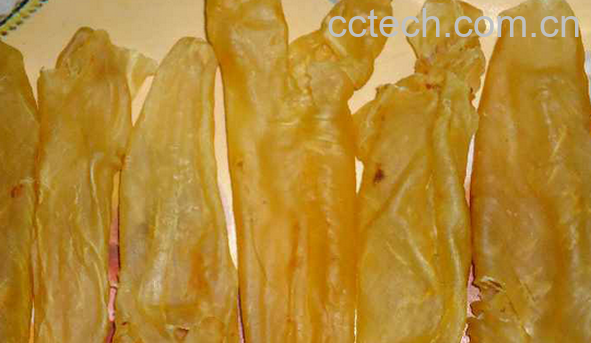 果蔬百科鱼胶是什么-0