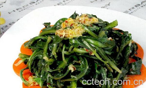 果蔬百科蒲公英的吃法大全-0