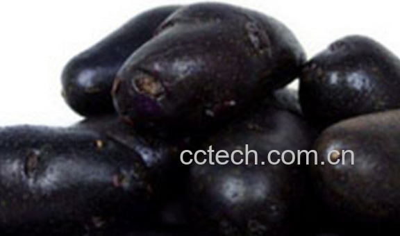 果蔬百科黑土豆的功效与作用-0
