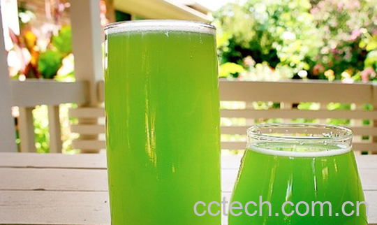 果蔬百科夏天喝苦瓜汁的好处有哪些-0