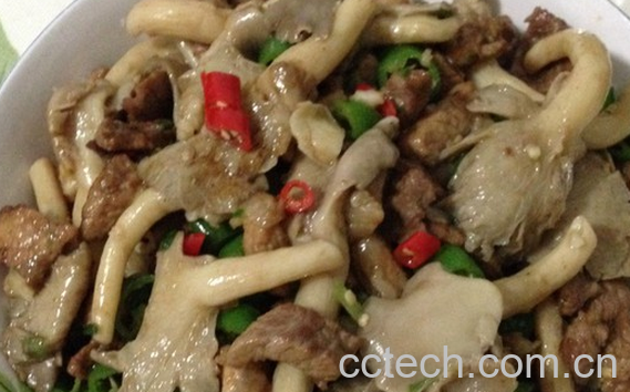 果蔬百科秀珍菇的家常做法-0