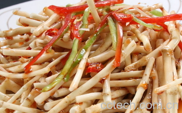 果蔬百科折耳根的做法大全-0