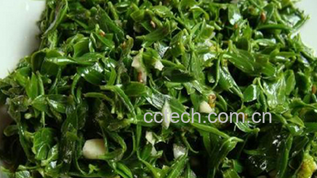 果蔬百科柳芽的营养价值与做法-0