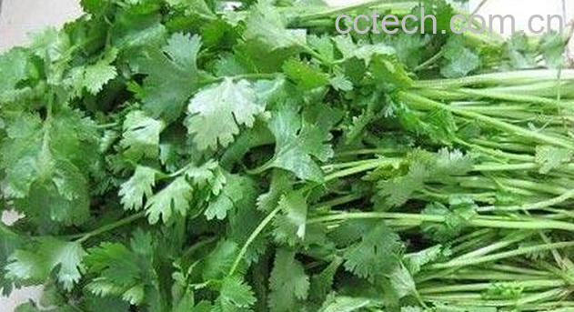 果蔬百科芫妥的功效与作用-0