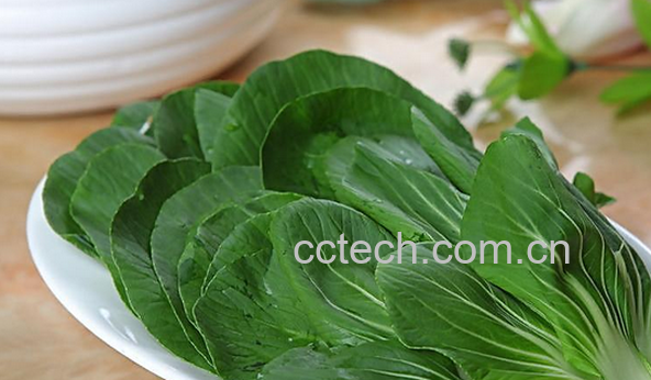 果蔬百科油菜的功效与作用-0