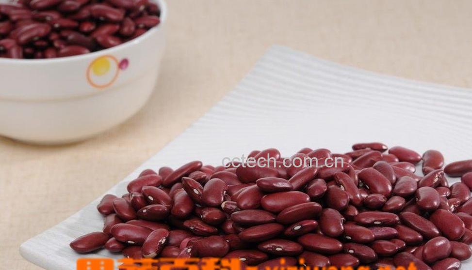 果蔬百科赤红豆的功效与作用-0