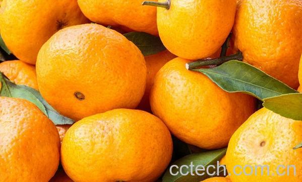 果蔬百科五类减压食物推荐-0