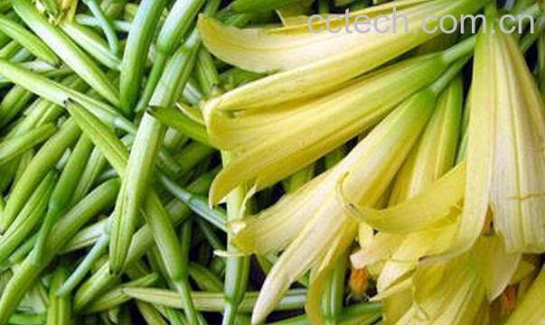 果蔬百科孕妇的饮食禁忌-0