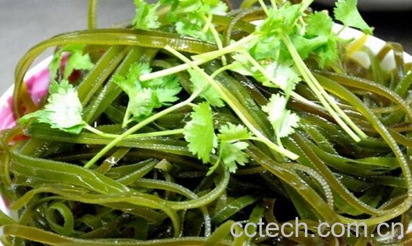 果蔬百科鲜海带-0