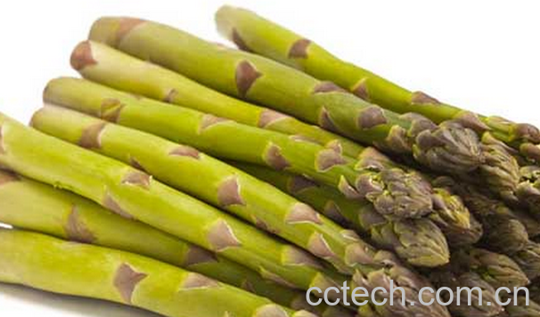 果蔬百科芦笋的营养价值-0