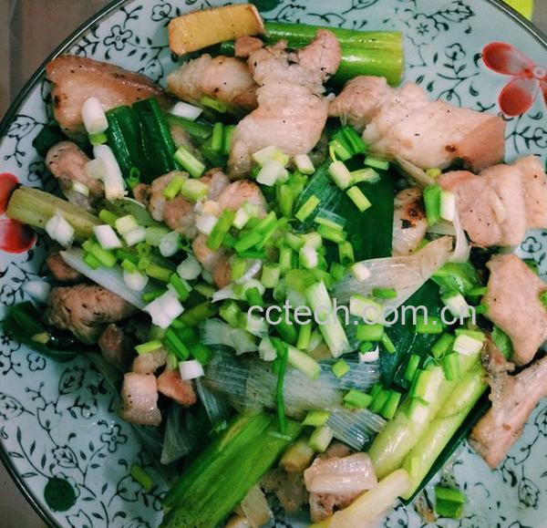 果蔬百科大葱炒肉怎么做-0