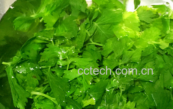 果蔬百科芹菜叶的常见吃法-0