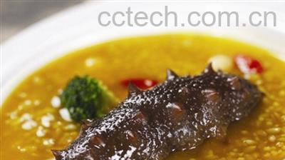 果蔬百科海参的营养价值及功效 海参的吃法-0