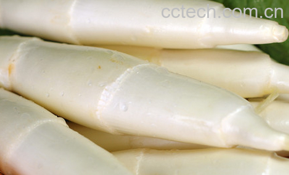 果蔬百科茭白的营养价值与功效-0