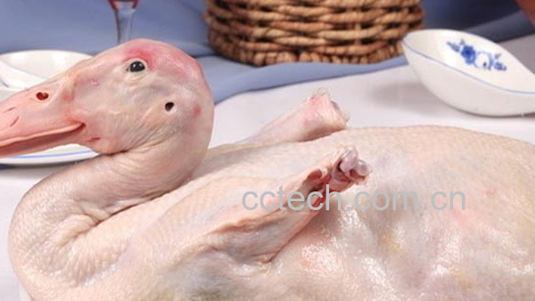 果蔬百科鸭肉的营养价值 -0