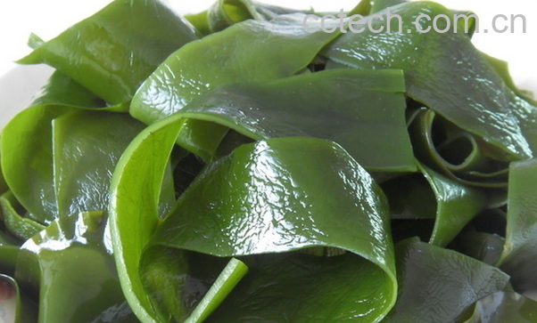 果蔬百科海带的营养价值与功效-0