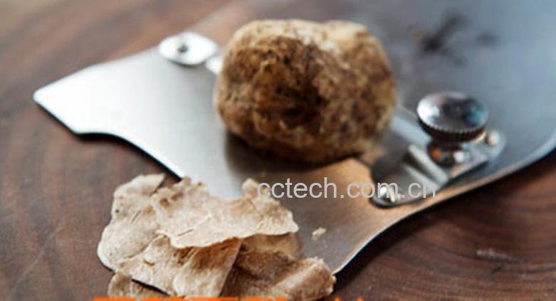 果蔬百科白松露菌怎么吃营养-0