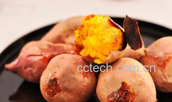 果蔬百科吃红薯会发胖吗 吃红薯的好处-0