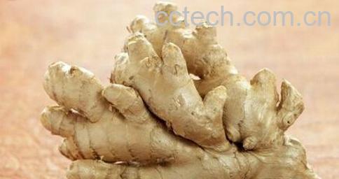 果蔬百科生姜治疗脱发的方法-0