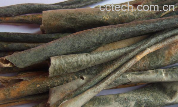 果蔬百科冬瓜皮的药用价值-0