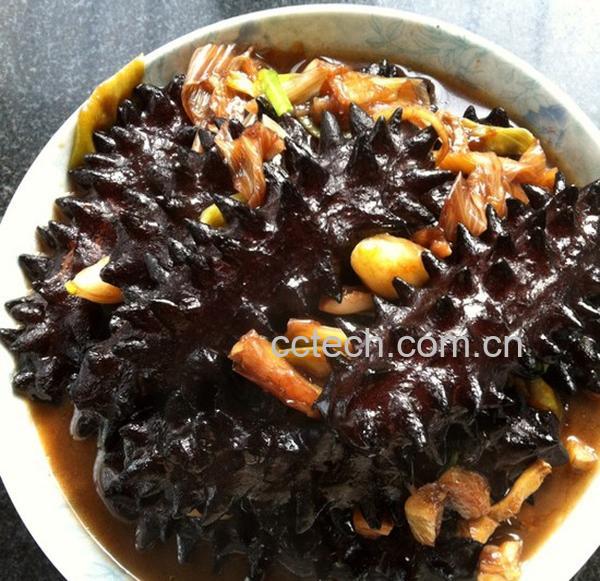 果蔬百科葱爆海参的做法大全 葱爆海参怎么做-0