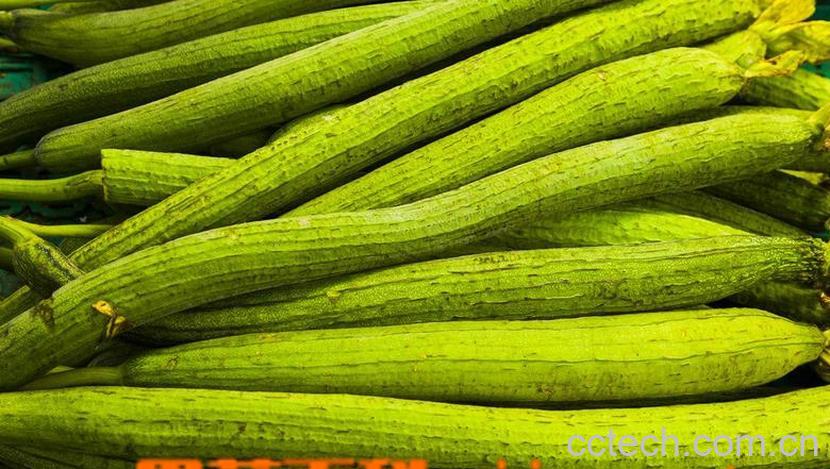 果蔬百科丝瓜怎么做好吃 丝瓜的吃法-0