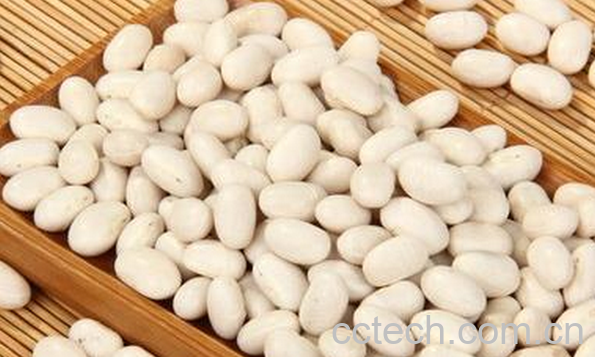 果蔬百科白芸豆的功效与作用-0