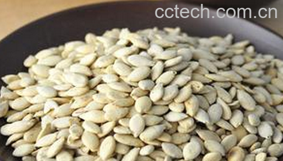 果蔬百科冬瓜子的药用价值与功效-0