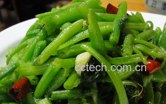 果蔬百科南瓜藤怎么吃-0