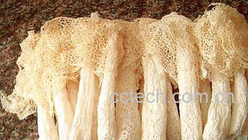 果蔬百科竹荪怎么泡发最好-0