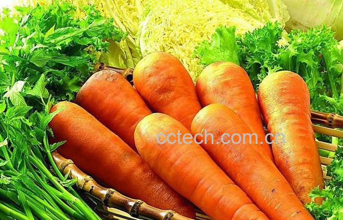 果蔬百科胡萝卜怎么吃最营养-0