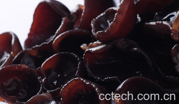 果蔬百科黑木耳的药用功效有哪些-0