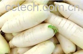 果蔬百科白萝卜怎么做好吃 白萝卜怎么做-0