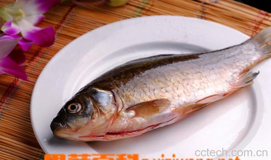 果蔬百科鲫鱼怎么吃 鲫鱼的营养价值及功效 -0