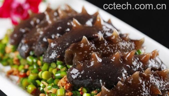 果蔬百科辽参的功效与作用-0