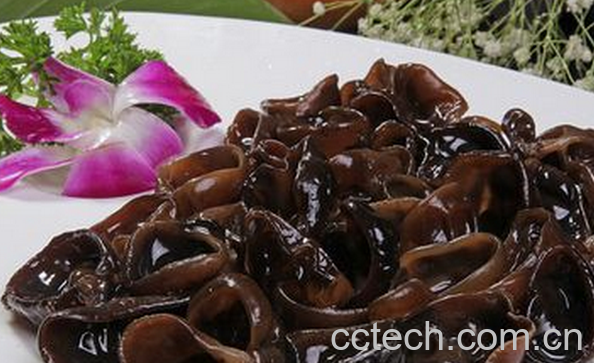 果蔬百科黑木耳的养生功效有哪些-0