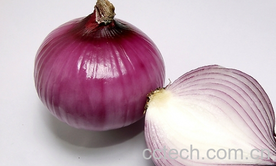 果蔬百科五个理由让你爱上洋葱-0