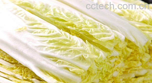 果蔬百科吃娃娃菜的好处有哪些-0