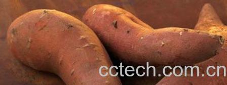 果蔬百科吃地瓜的好处和坏处-0