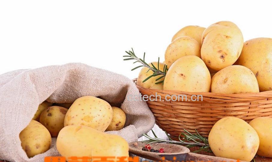 果蔬百科土豆的功效与作用及土豆的吃法-0