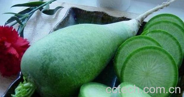 果蔬百科青萝卜的功效与作用 -0