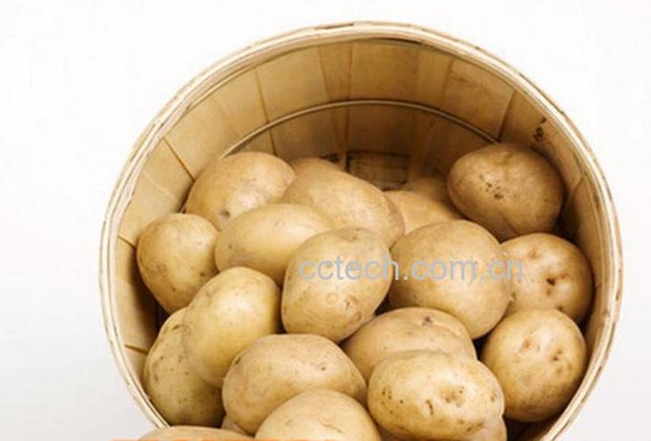 果蔬百科土豆的功效与作用-0