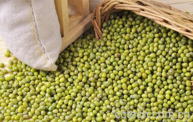 果蔬百科绿豆皮的功效与作用-0