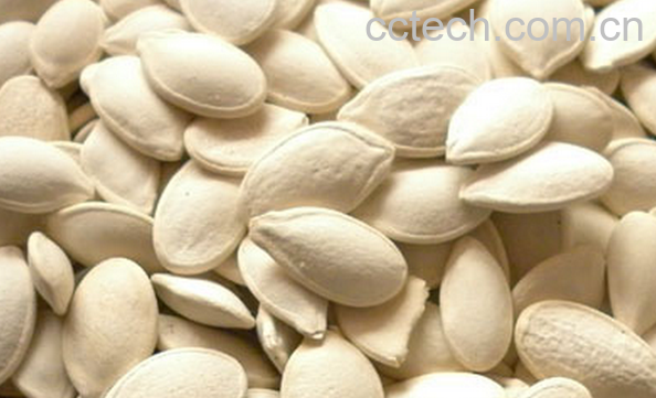 果蔬百科南瓜子的药用功效有哪些-0