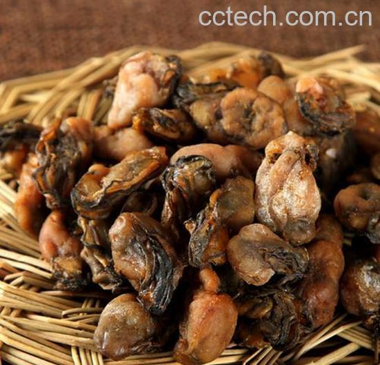 果蔬百科牡蛎怎么吃 牡蛎的食用禁忌有哪些-0